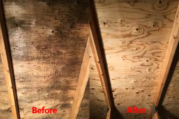 water damage restoration service Muttontown